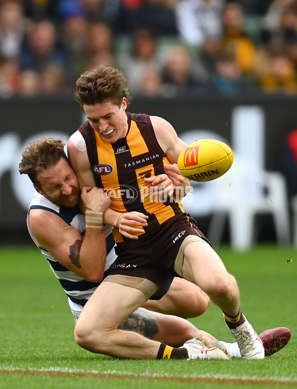 AFL Rd 4 - Geelong v Hawthorn - A-1135870