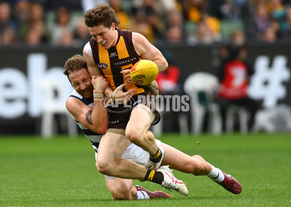 AFL Rd 4 - Geelong v Hawthorn - A-1135871