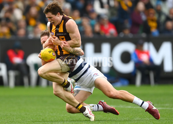 AFL Rd 4 - Geelong v Hawthorn - A-1135881