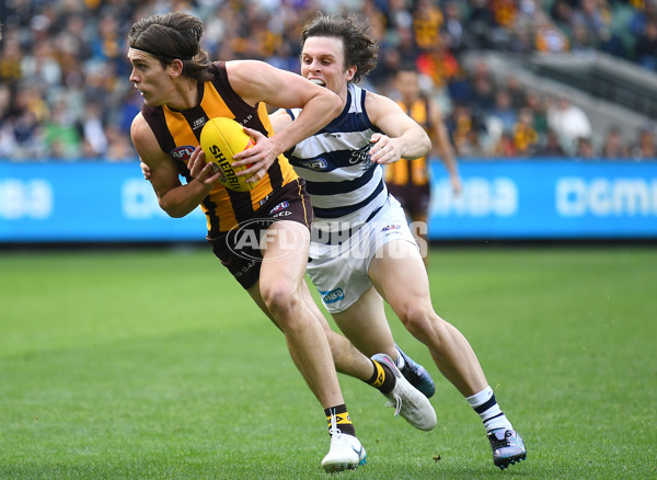 AFL Rd 4 - Geelong v Hawthorn - A-1135882