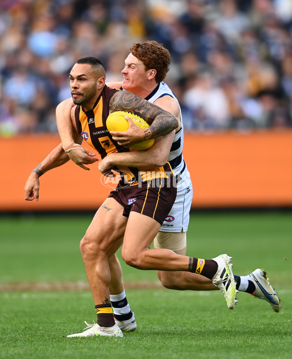 AFL Rd 4 - Geelong v Hawthorn - A-1135893