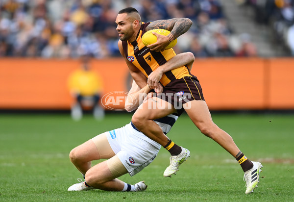 AFL Rd 4 - Geelong v Hawthorn - A-1135895