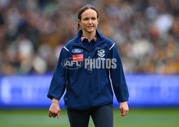 AFL Rd 4 - Geelong v Hawthorn - A-1135983