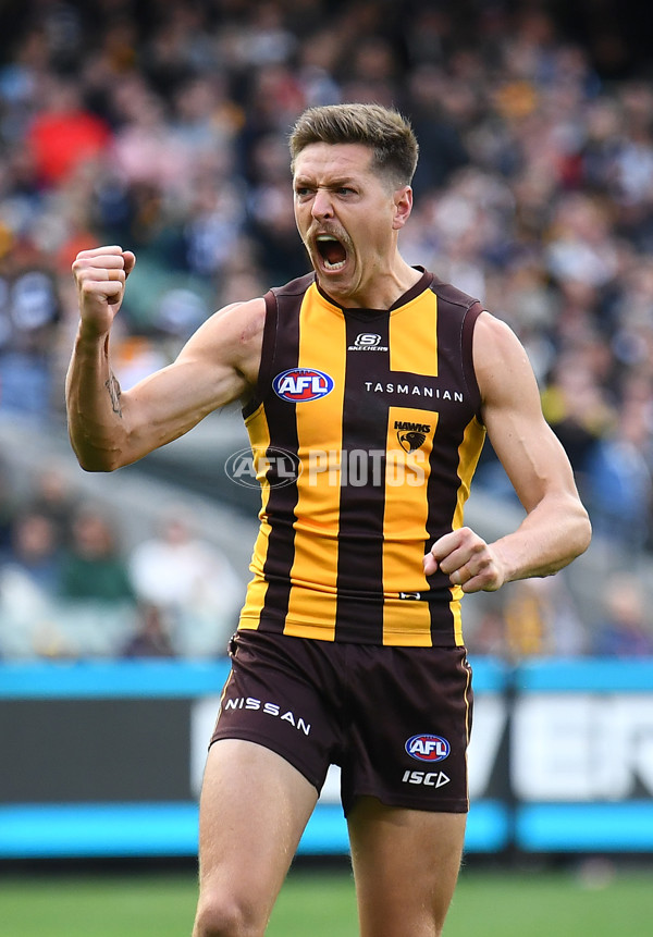 AFL Rd 4 - Geelong v Hawthorn - A-1135989