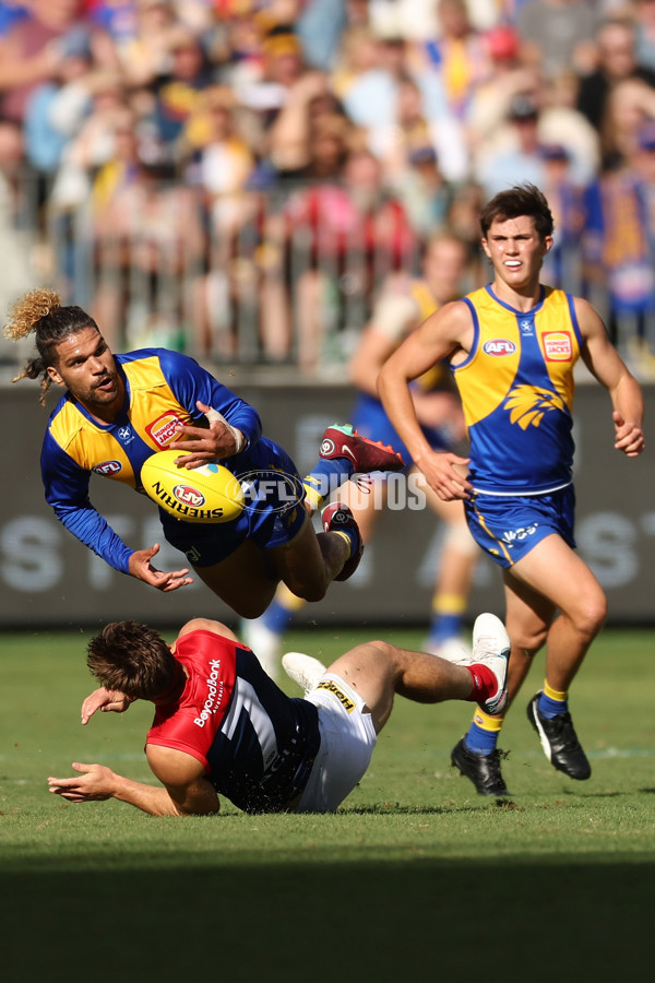 AFL Rd 4 - West Coast v Melbourne - A-1136870