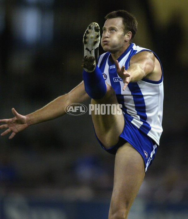 AFL 2004 Rd 8 - Kangaroos v Port Adelaide - 173730