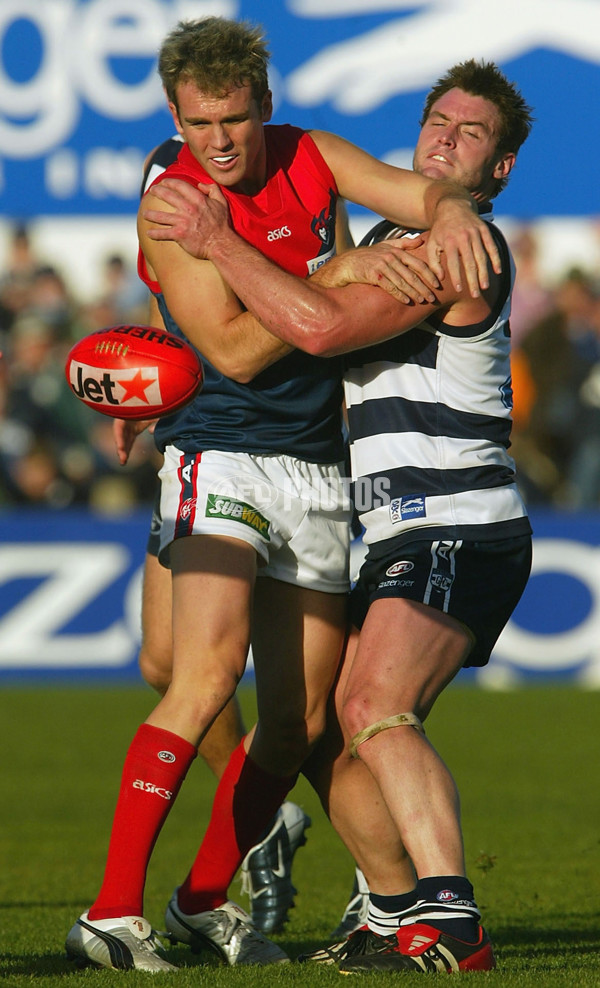 AFL 2004 Rd 8 - Geelong v Melbourne - 172157