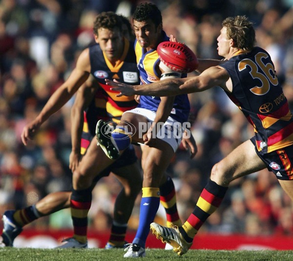 AFL 2006 Rd 2 - Adelaide Crows v West Coast Eagles - 43843