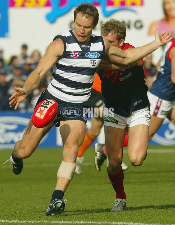 AFL 2004 Rd 8 - Geelong v Melbourne - 66168