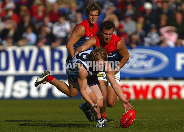AFL 2004 Rd 8 - Geelong v Melbourne - 66159