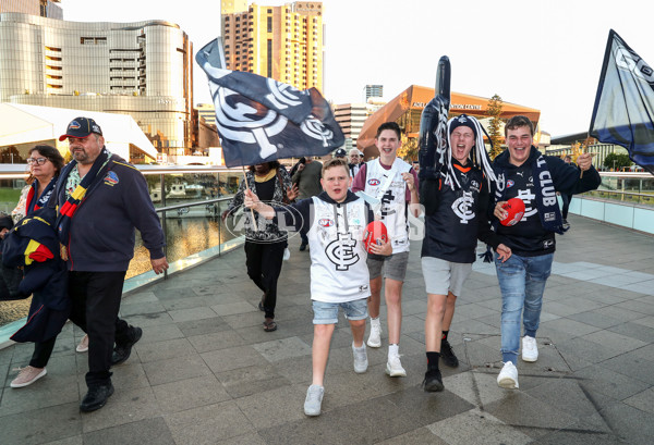 AFL Rd 5 - Adelaide v Carlton - A-1175163