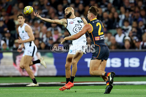 AFL Rd 5 - Adelaide v Carlton - A-1175212