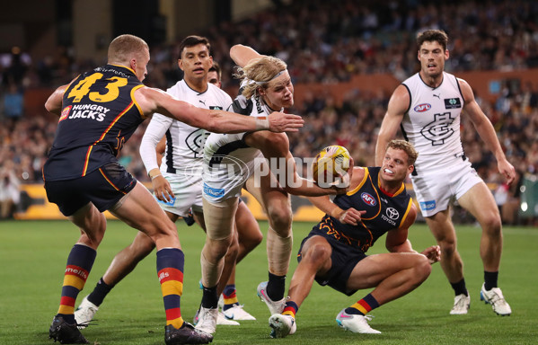 AFL Rd 5 - Adelaide v Carlton - A-1180412