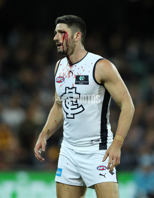 AFL Rd 5 - Adelaide v Carlton - A-1180791