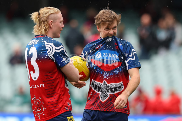 AFL Rd 5 - Essendon v Melbourne - A-1202998