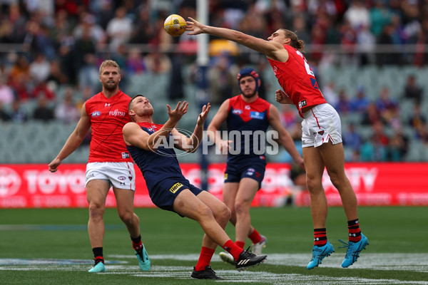 AFL Rd 5 - Essendon v Melbourne - A-1205651