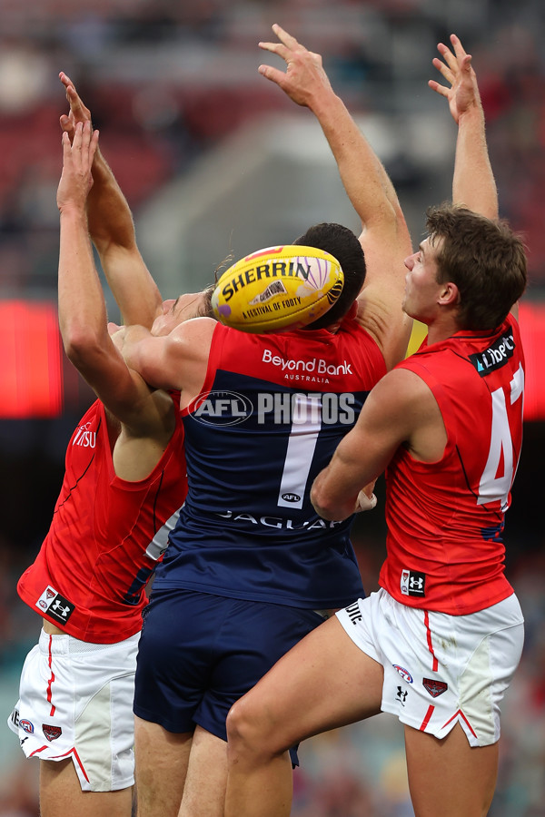 AFL Rd 5 - Essendon v Melbourne - A-1205718