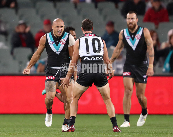 AFL Rd 5 - Port Adelaide v Western Bulldogs - A-1209082