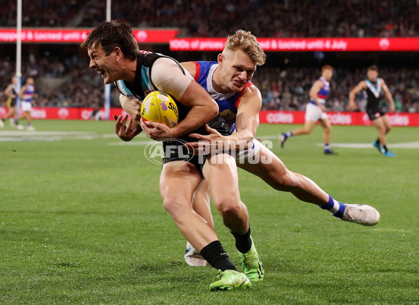 AFL Rd 5 - Port Adelaide v Western Bulldogs - A-1209091