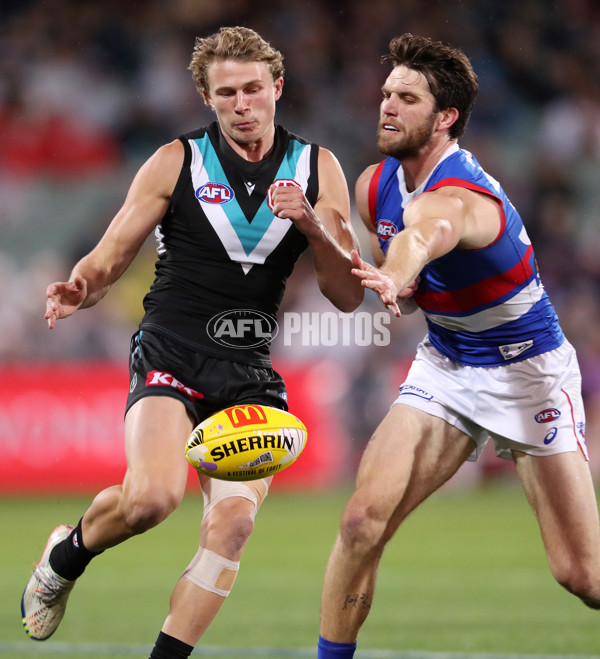 AFL Rd 5 - Port Adelaide v Western Bulldogs - A-1209101