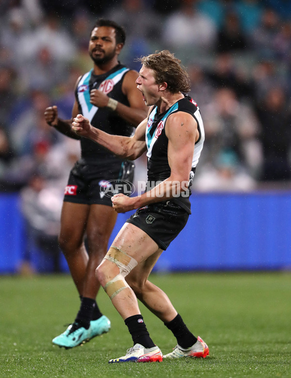 AFL Rd 5 - Port Adelaide v Western Bulldogs - A-1209157