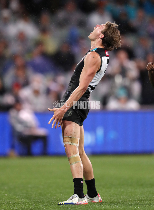 AFL Rd 5 - Port Adelaide v Western Bulldogs - A-1209161