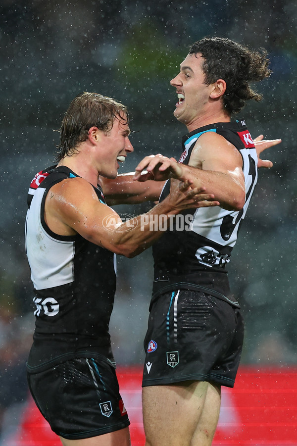 AFL Rd 5 - Port Adelaide v Western Bulldogs - A-1209699