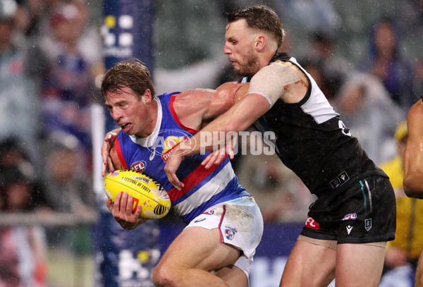 AFL Rd 5 - Port Adelaide v Western Bulldogs - A-1213329