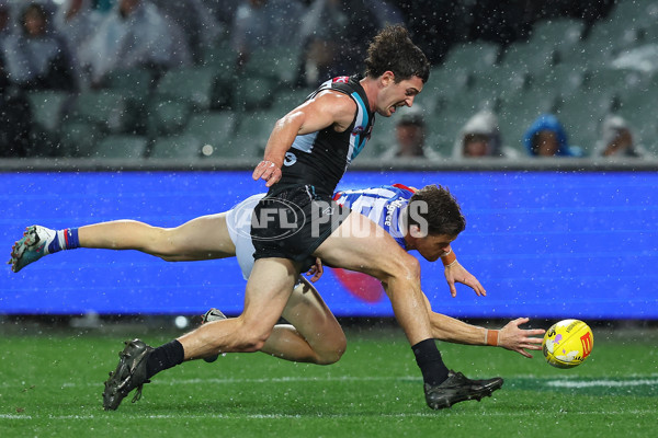AFL Rd 5 - Port Adelaide v Western Bulldogs - A-1213371