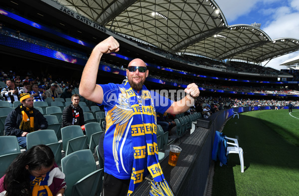 AFL Rd 5 - Geelong v West Coast - A-1219756