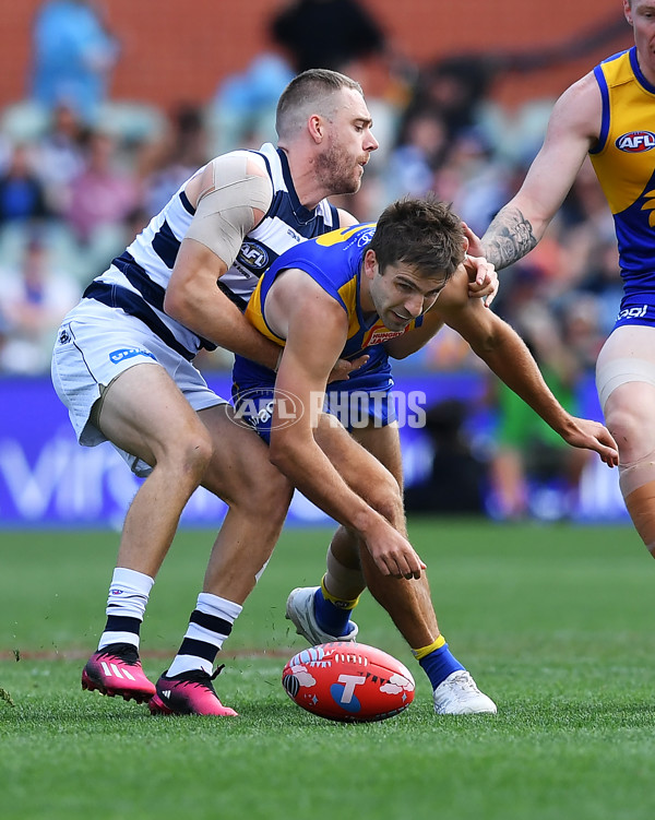 AFL Rd 5 - Geelong v West Coast - A-1219776