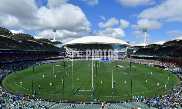 AFL Rd 5 - Geelong v West Coast - A-1220357