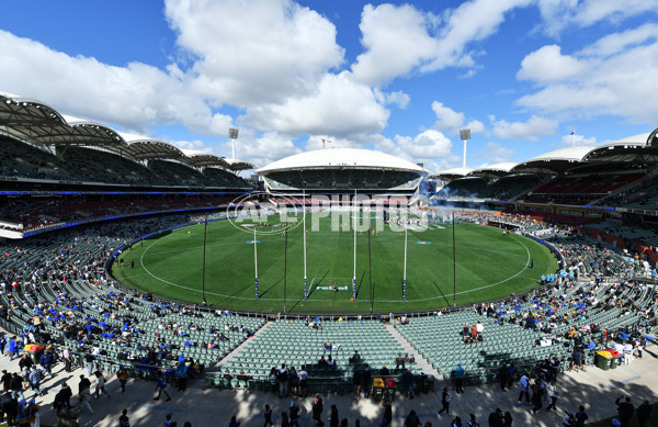 AFL Rd 5 - Geelong v West Coast - A-1220358