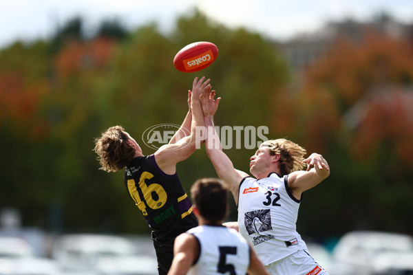 Coates Talent League Boys Rd 4 - Murray Bushrangers v Geelong Falcons - A-1220367