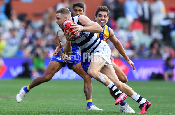 AFL Rd 5 - Geelong v West Coast - A-1223016