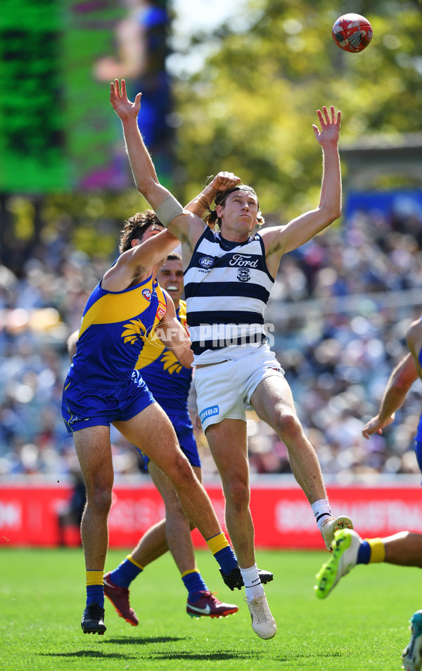 AFL Rd 5 - Geelong v West Coast - A-1223035