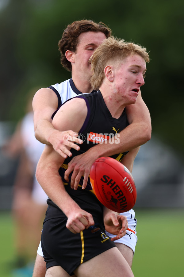 Coates Talent League Boys Rd 4 - Murray Bushrangers v Geelong Falcons - A-1223041