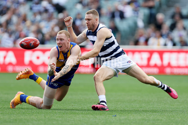 AFL Rd 5 - Geelong v West Coast - A-1223313