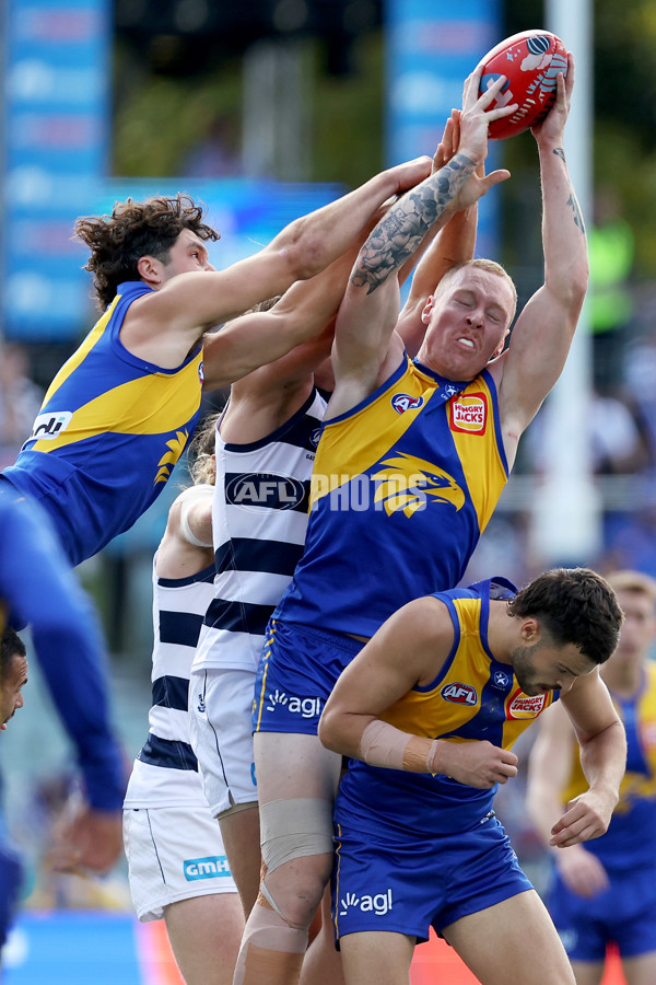 AFL Rd 5 - Geelong v West Coast - A-1223315