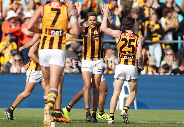 AFL Rd 5 - Hawthorn v GWS - A-1226429
