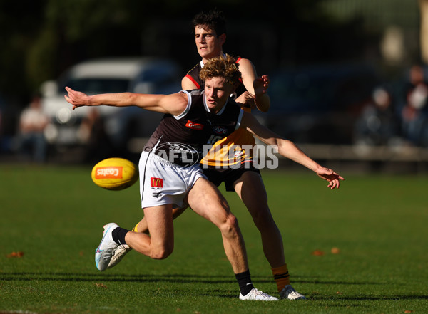 Coates Talent League Boys Rd 4 - Dandenong Stingrays v GWV Rebels - A-1229123