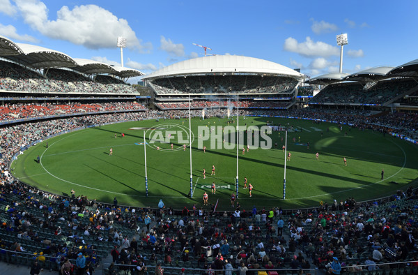 AFL Rd 5 - St Kilda v Collingwood - A-1229160