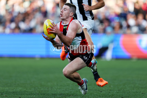 AFL Rd 5 - St Kilda v Collingwood - A-1231951