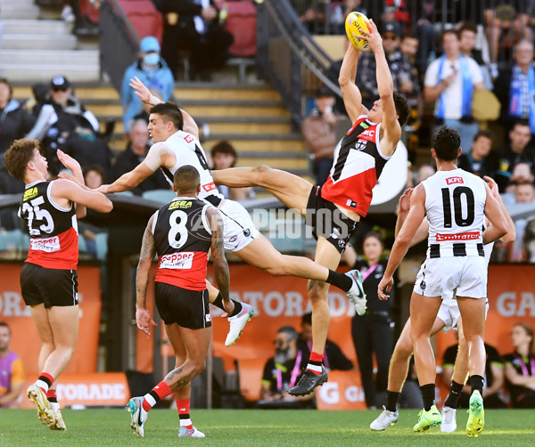 AFL Rd 5 - St Kilda v Collingwood - A-1231975