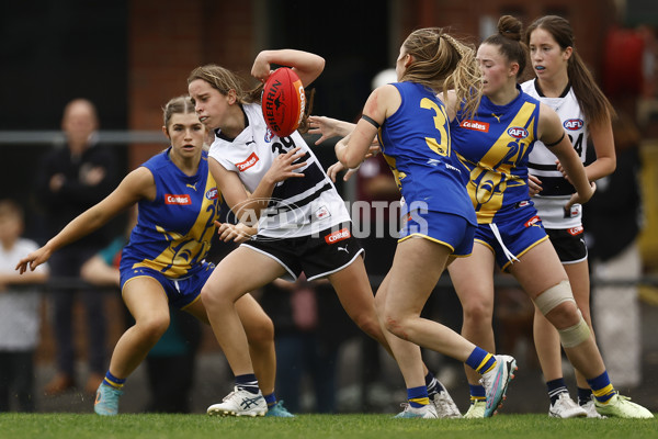 Coates Talent League Girls Rd 6 - Northern Knights v Western Jets - A-1268506