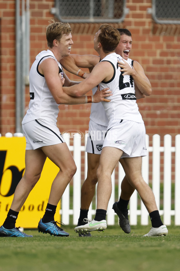 VFL Rd 5 - Footscray Bulldogs v Southport Sharks - A-1268508