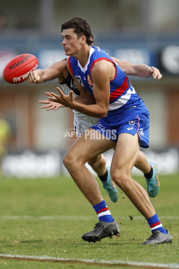VFL Rd 5 - Footscray Bulldogs v Southport Sharks - A-1268528