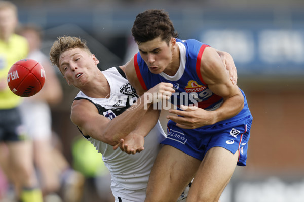 VFL Rd 5 - Footscray Bulldogs v Southport Sharks - A-1268529