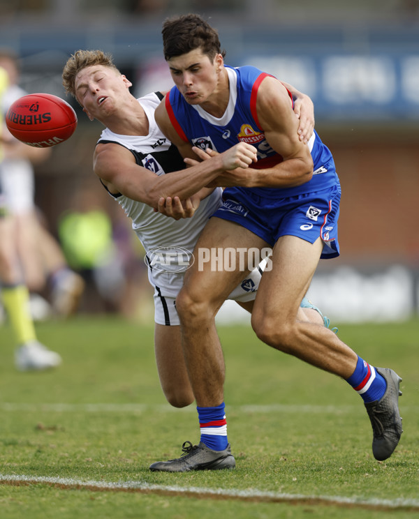 VFL Rd 5 - Footscray Bulldogs v Southport Sharks - A-1268530