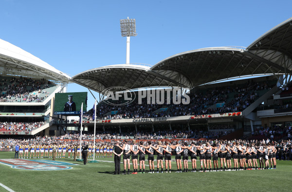 AFL Rd 6 - Port Adelaide v West Coast - A-1268539